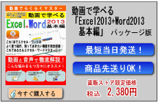 動画で学べる「Excel2013+Word2013 基本編」パッケージ版